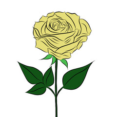 Beautiful rose bouquet flowers and green leaves growth on white background,hand drawn,creative with illustration in flat design.Floral pattern,decorative series for wallpaper.