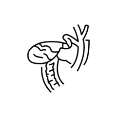 Bile in bladder color line icon. Human diseases.