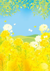 Obraz na płótnie Canvas 春の葉の花　背景イラスト