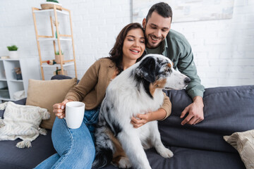 joyful young woman hugging australian shepherd dog and holding cup near bearded boyfriend.