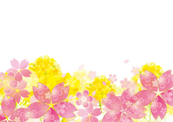 桜と菜の花の美しい背景イラスト