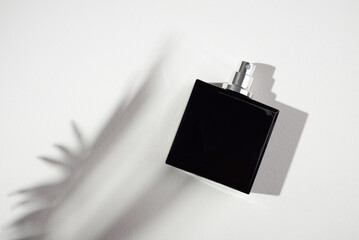 Black bottle of perfume on a white background. Fragrance presentation with daylight. Trending...