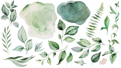 Watercolor green leaves and spots elements illustration
