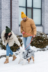 full length of happy young couple in winter jackets and hats walking with australian shepherd dog.