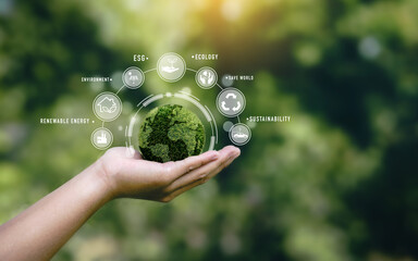 Hand holding a green globe in the concept of nature about management esg, sustainability, ecology...