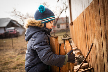 Little boy in warm clothes helping his parents and stacking up firewood in yard of simple wooden house in Ukrainian village