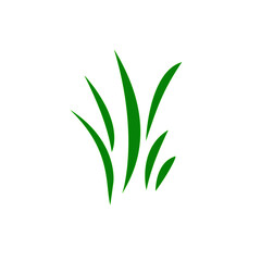 Spring. Green grass white back ground