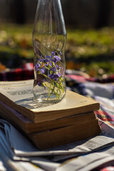 still life with flowers and books