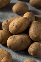 Raw Organic Russet Potatoes