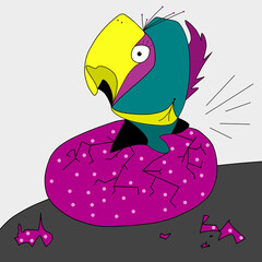 The bird hatched from the egg