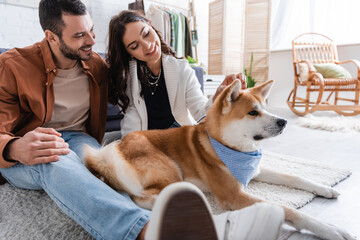 young and happy couple petting akita inu dog in modern living room.