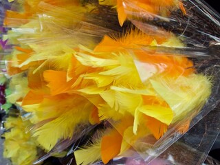 Wrapped birch tree twigs with feathers in yellow and orange colors as decoration during Lent and Easter.