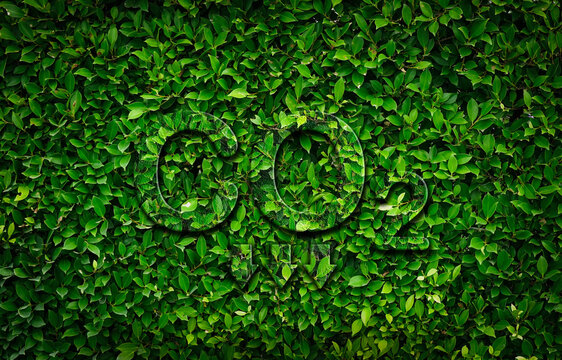 Co2 carbon dioxide sign and arrows down on green leaf nature background. Co2 reduction concept. Save the planet concept.