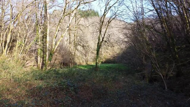 Entre colline vu en drone au dessus de taillis et de la brousse. Forêt enclavée à l'ombre.