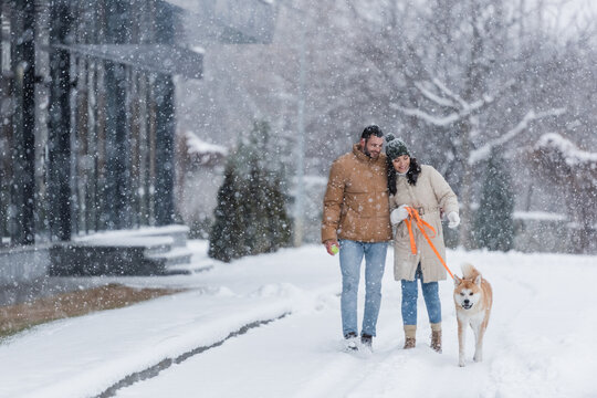 happy woman holding leash while walking together with boyfriend and akita inu dog under falling snow.
