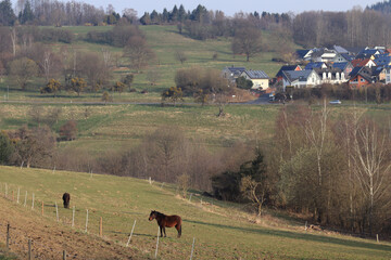 A horse in the meadow and the village of Kadenbach in the distance.