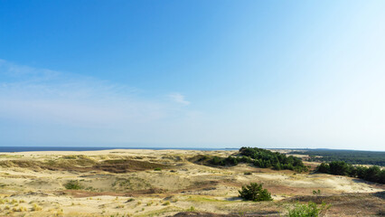 Sand dune Efa on the Curonian Spit, on a sunny day in summer, Baltic Sea, Kaliningrad region, Russia