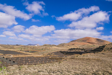 Agricultural Landscape in the Timanfaya National Park in Lanzarote. Behind the field is an old volcano