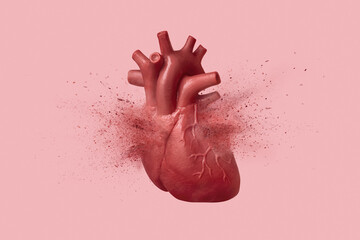 The concept of heart attack, an exploding human heart isolated on pink background. Cardiology and...