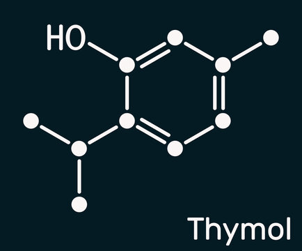 Thymol, IPMP molecule. It is phenol, natural monoterpene derivative of cymene. Obtained from thyme oil or other volatile oils. Skeletal chemical formula on the dark blue background