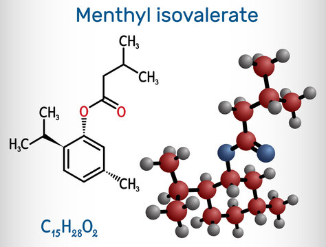 Menthyl isovalerate, validolum, validol molecule. It is drug, menthyl ester of isovaleric acid. Structural chemical formula and molecule model.