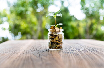 Green plant growing in glass jar with coins