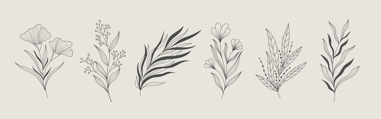 Handrawn floral elements collection. Botanical elements set.