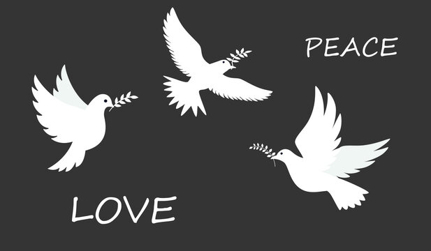 dove silhouette png