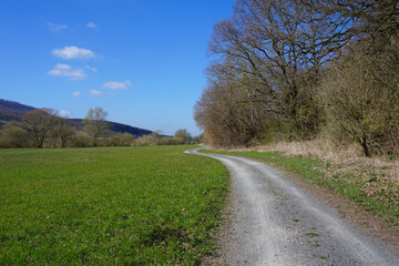 Fototapeta na wymiar Radweg im Leinebergland in der Nähe von Freden in Niedersachsen
