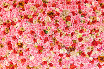 Red, pink , yellow and orange roses wallpaper background texture. Romance love valentine day decoration bouquet bloom.