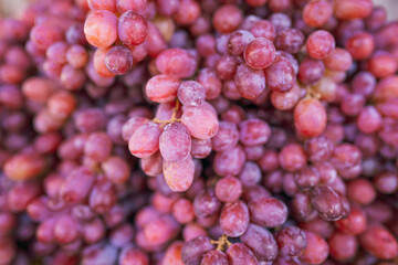 Closeup shot of fresh, purple grapes at a street market
