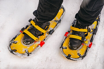 Yellow snowshoes on black boots. Snowshoeing people in winter forest in snow. Legs and snowshoe...