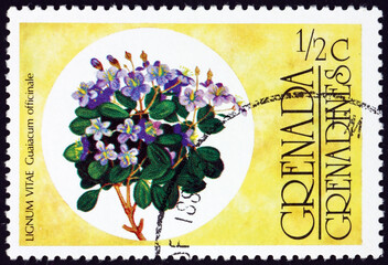 Postage stamp Grenada 1976 roughbark lignum vitae, a tree - obrazy, fototapety, plakaty