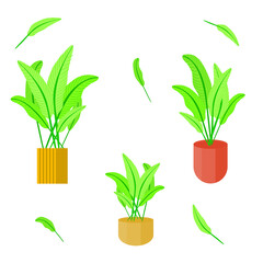 Collection of Plant leaf pot biology ornamental nature vector illustration 1