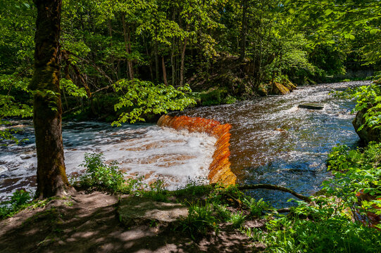 Amber waterfall. Nommeveski cascade on the river Valgejogi in Lahemaa National Park, Estonia ( Nõmmeveski, Valgejõgi.) Landscape on a spring sunny day.