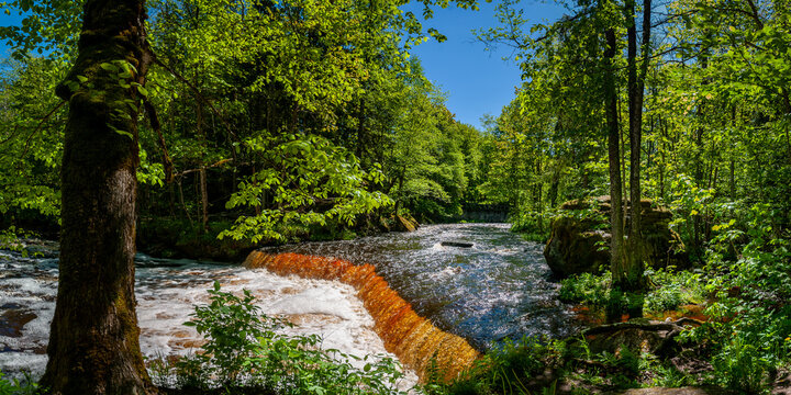 Amber waterfall. Nommeveski cascade on the river Valgejogi in Lahemaa National Park, Estonia ( Nõmmeveski, Valgejõgi. Landscape on a spring sunny day. Panorama.