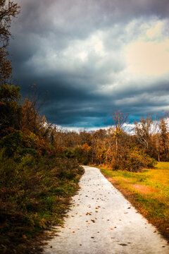 Vertical Shot Of A Trail In White Clay Creek State Park, Newark, Delaware