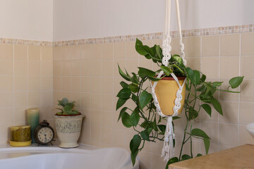 white homemade macrame plant hanger in bathroom