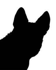 Naklejka premium dog portrait, silhouette on white