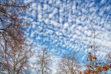 beautiful clouds against the blue sky, an autumn view in a bavarian park	