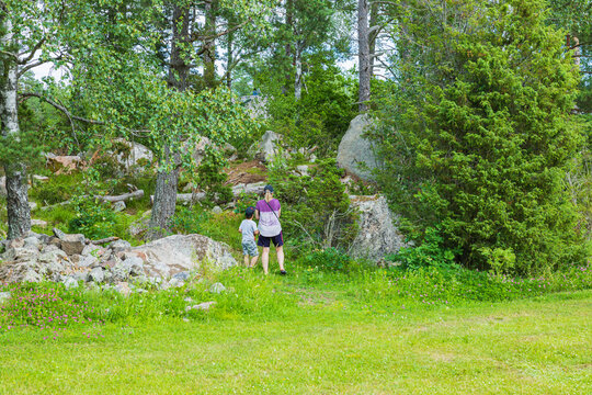 Beautiful view of woman with child walking in forest on summer day. Sweden.