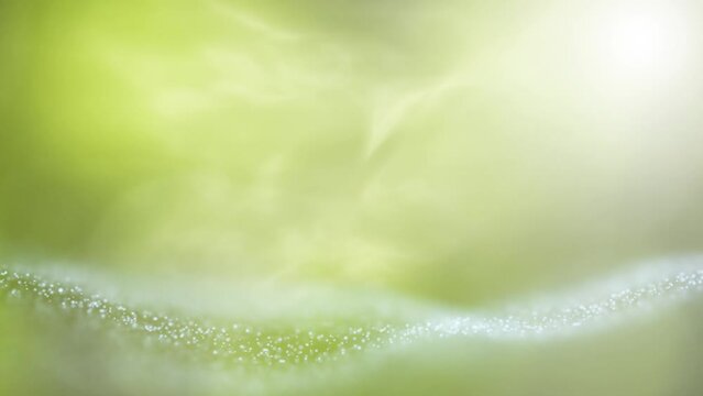 Looping sunny spring season modern bokeh motion backgrounds.