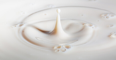 Fototapeta na wymiar drop of milk,Milk or droplets of white liquid create ripples,Drop created splash with circle ripple