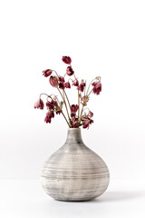 Floral composition with a bouquet of dried flowers in a striped vase on a white background. Close view of the buds. Shallow depth of field.