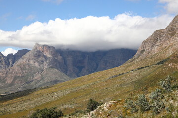 A view of mountains with fynbos in the foreground in the Breede River Valley, South Africa.