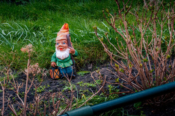 Garden gnome on the grassy ground
