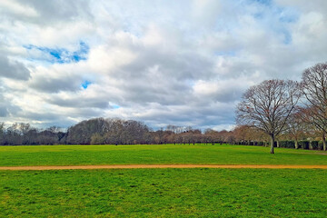 Beautiful green park on a winter cloudy day.