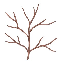 Branches watercolor design, draw a picture on the white background.