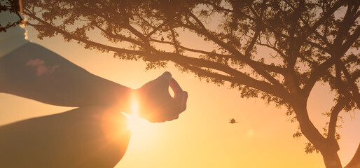 Meditation, spiritual enlightenment, peace of mind, woman's hand meditating against a beautiful nature sunset 