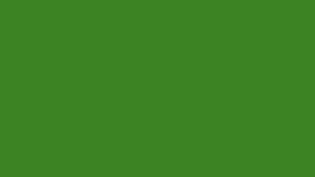 OMG phrase speech bubble. Retro cartoon pop art animation. green screen.